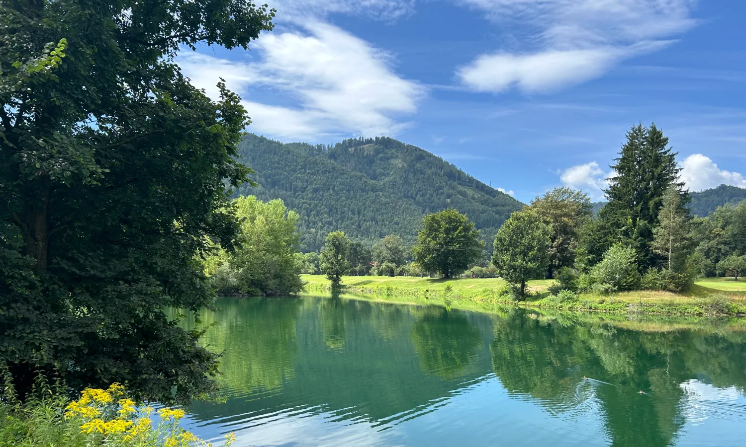 Header Murhof